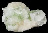 Zoned Apophyllite Crystal Cluster with Stilbite - India #44354-1